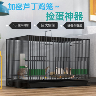 �J���u�����Bֳ���ü��ܴ�̖�u�\�r�u�r���\�g��� ���С�͌���\