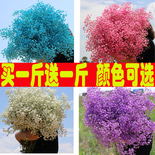 Yunnan Internet Celebrity Gypsophila Flowers Kunming Flower Shop Bouquet Living Room Table Decorations for Friends Fresh Dyeing and Shipping