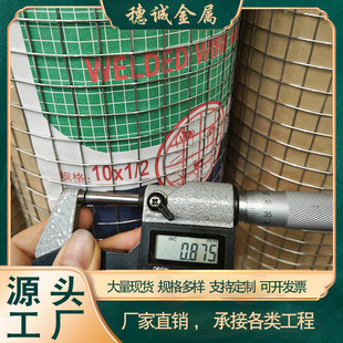 Foshan Manufacturer's Spot Galvanized Welded Mesh, Construction Site Plastering Mesh, Wall Anti-Cracking Mesh, Breeding Protective Fence