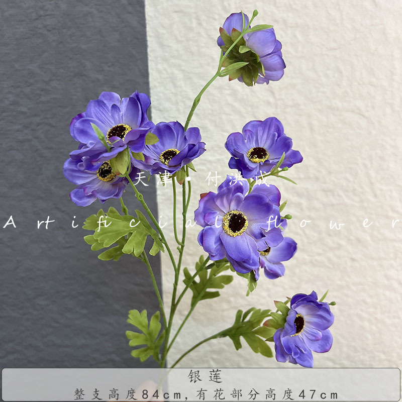 8 머리 아네모네 - 진한 보라색