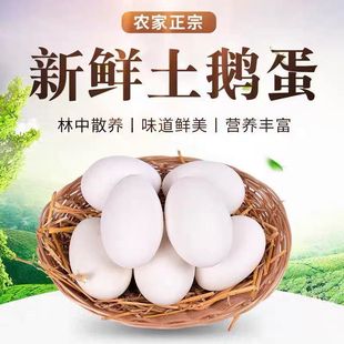 �r�������p�S���Z�����r�ش����Z�����lһ���ЋD�������]���l���]