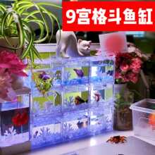 ����~���÷eľ�~�׶��M�������^�p�~���쾰��������Ÿ�