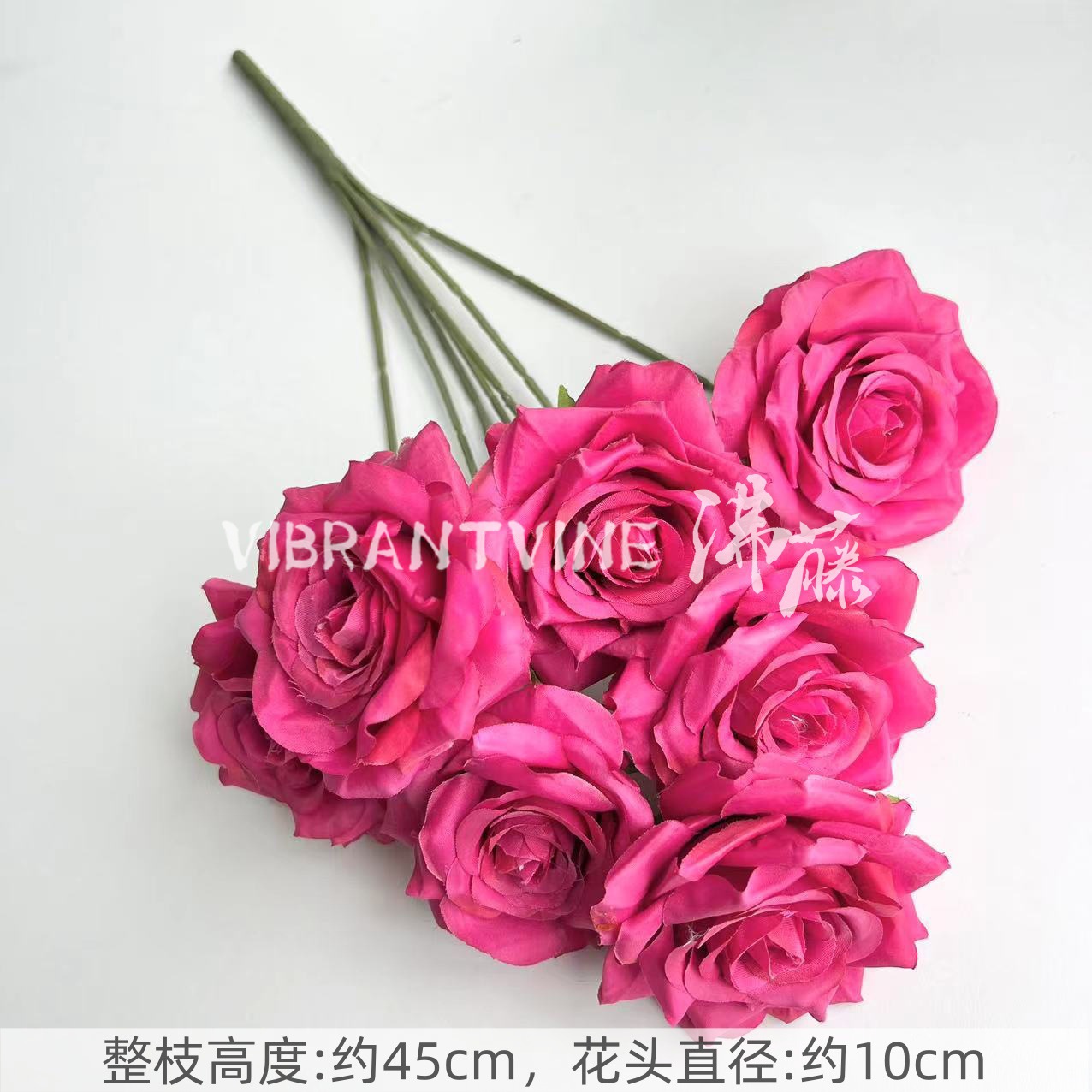 Rose red 7-headed manta rose