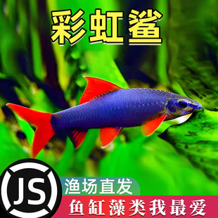 �ʺ���������~��̦���~���坍�~���幤���~�Ꭷ�^�p�~������w