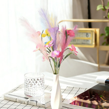 �JȔ�����m���滨��c���ô����Ҿ��b߼�������羳�[�����W�L