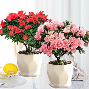 ���N�����Ԏ���������ֲ���҃��ļ��_���糣��Gֲ���B�����ֲ��