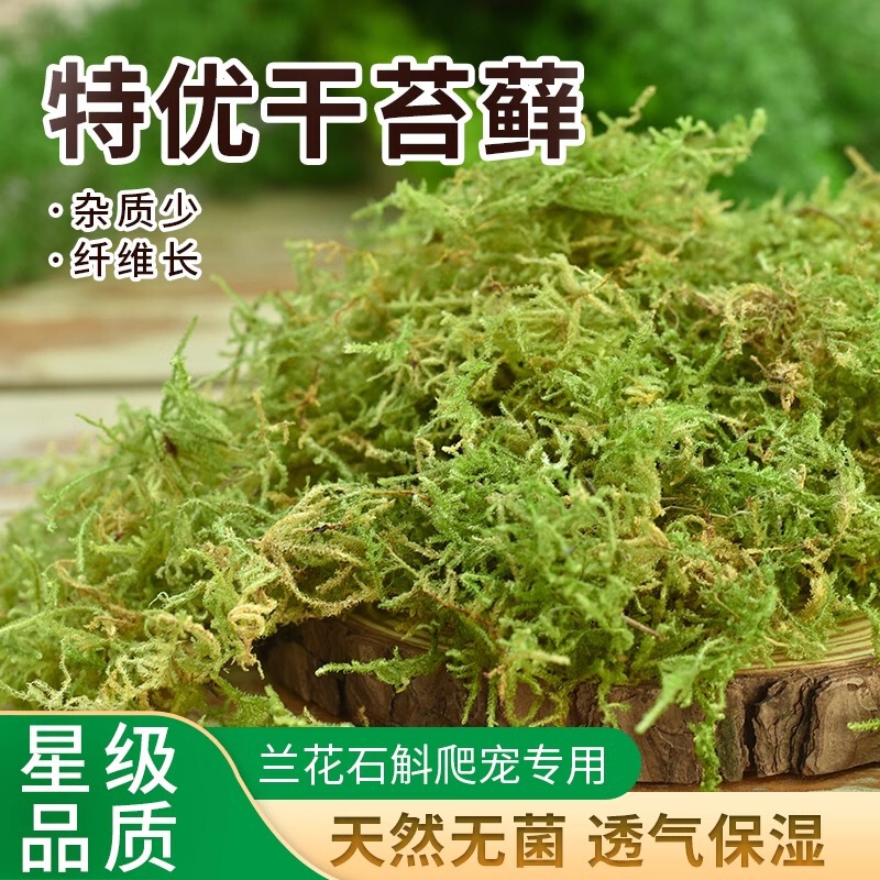 Dried Moss, Winter-Dormant Moss, Soil Plant Pure Supplies, Natural Dendrobium Planting, Turtle Reptile Bedding Material, Surface Greenery