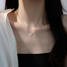 �M����~����Ů���s�p��С���i�2023���¿�ٴ���|�OӋ�i���