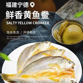 海带;紫菜;海藻类