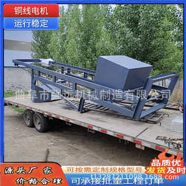 猪饲料翻斗式上料机 电动垂直翻斗提料机 坚果单斗提料机图片