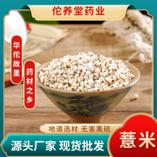 ޲�������l��ș���в�șɢ�b�F�ݰ�޲��500�r������s�Z޲����