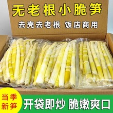 新鲜小竹笋清水笋罗汉笋去壳竹笋火锅笋批发江西特产手撕笋嫩笋尖