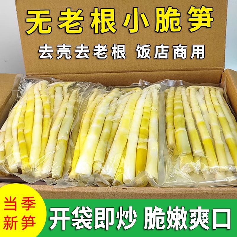 新鲜小竹笋清水笋罗汉笋去壳竹笋火锅笋批发江西特产手撕笋嫩笋尖
