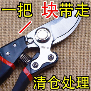 Original Japanese Vvt Imported Quality Sk5 Powerful Pruning Shears New Garden Household Labor-Saving Flower Branch Gardening Shears