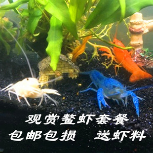 �^�p���r���w�t�ٰ׷��{��С�����r��ɽ�����`���y��ˮ�����~��