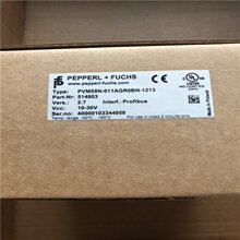 2964306 ELR W1/10-24DC�ֻ����۷����˹PHOENIXģ��