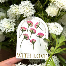 �ȉ�õ�廨��Ѻ���滨ֲ��˱����z�������lѺ�����ͯ�ֹ�����