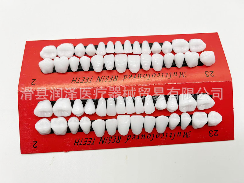 牙科口腔学生练习全口牙齿教学磨具牙模型28颗一口磨具塑料练习牙|undefined