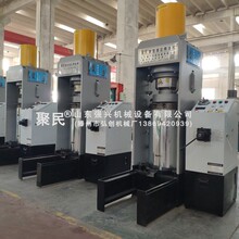 奇亚籽大型挤油机 接骨木籽超高压榨油机 聚民牌红花籽大型榨油机