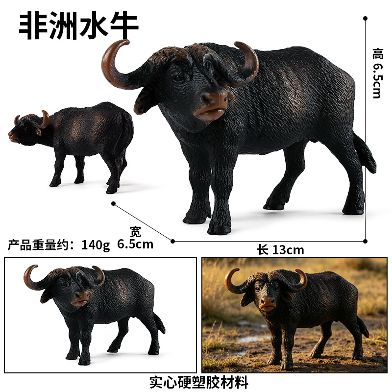 M4019 búfalo africano