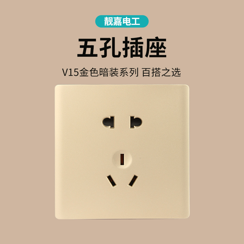 V15 five-hole socket