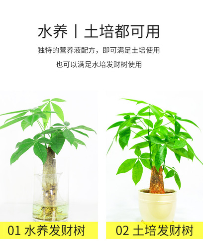 批发浓缩通用型花肥料养花家用花卉盆栽花草鲜花液体植物营养液