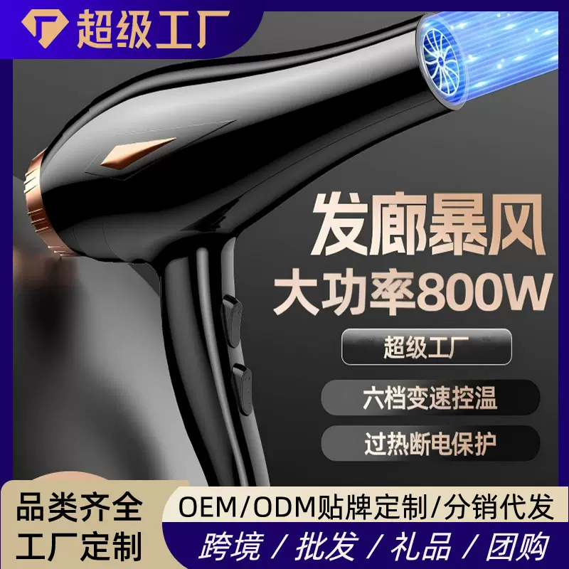 吹风机风力大功率理发店家用发廊吹头发学生宿舍800W蓝光电吹风