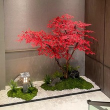 ������~������̈��Ƶ�Gֲ�٘��҃����b��쾰�߶ȷ���ټt����