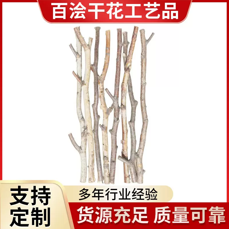 白桦树枝树干枝树杈幼儿园diy手工工艺造景装饰栏杆天然白桦木棍