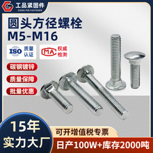马车螺丝GB12半圆头方颈螺栓 马车螺栓 M5M6M8M10M12M14M16