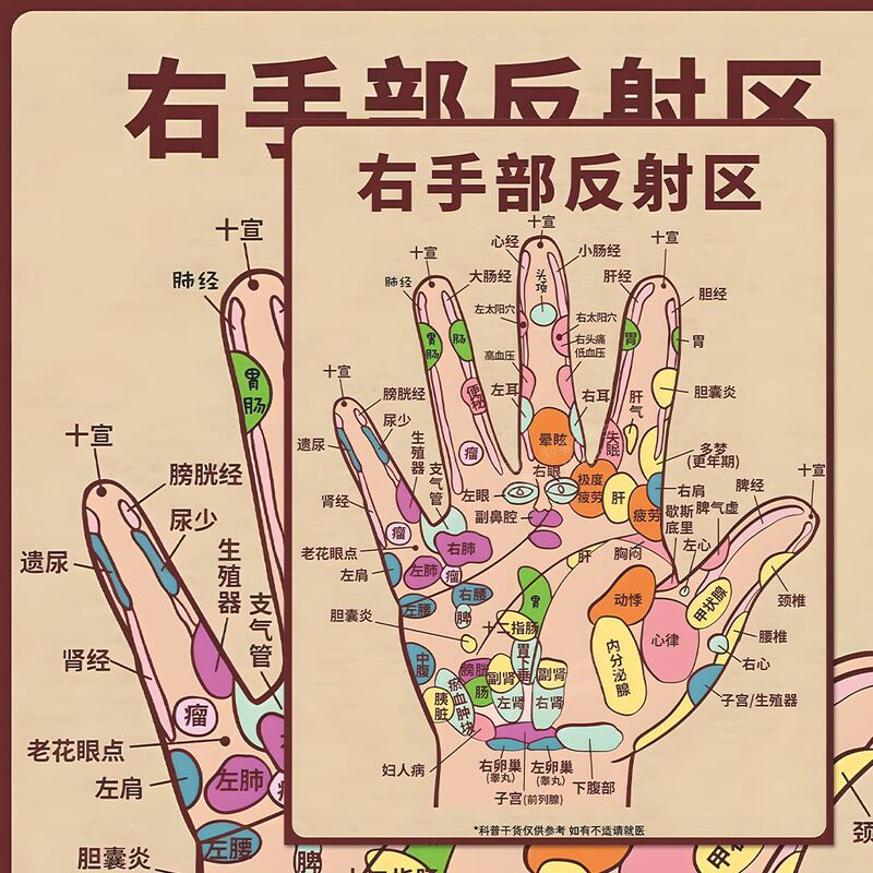 [Enlarged Version of High Definition] Hand Meridian Stickers, Traditional Chinese Medicine Acupoint Health Knowledge, Popular Science Decoration Notebook Stickers