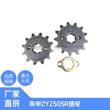����ZY250SR������������RC250 RA250S��������gpr250С��������