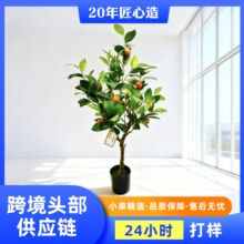 ���W�L��ins�����������Ә��̈��Ƶꙻ������ֲ��[�������ۘ�