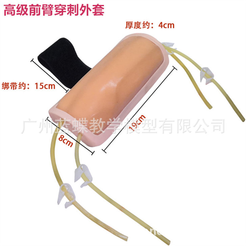 ����Ƥ�������ϰģ�� �轺Ƥ�� ע����ѵ��ҽѧ�����ϰ����