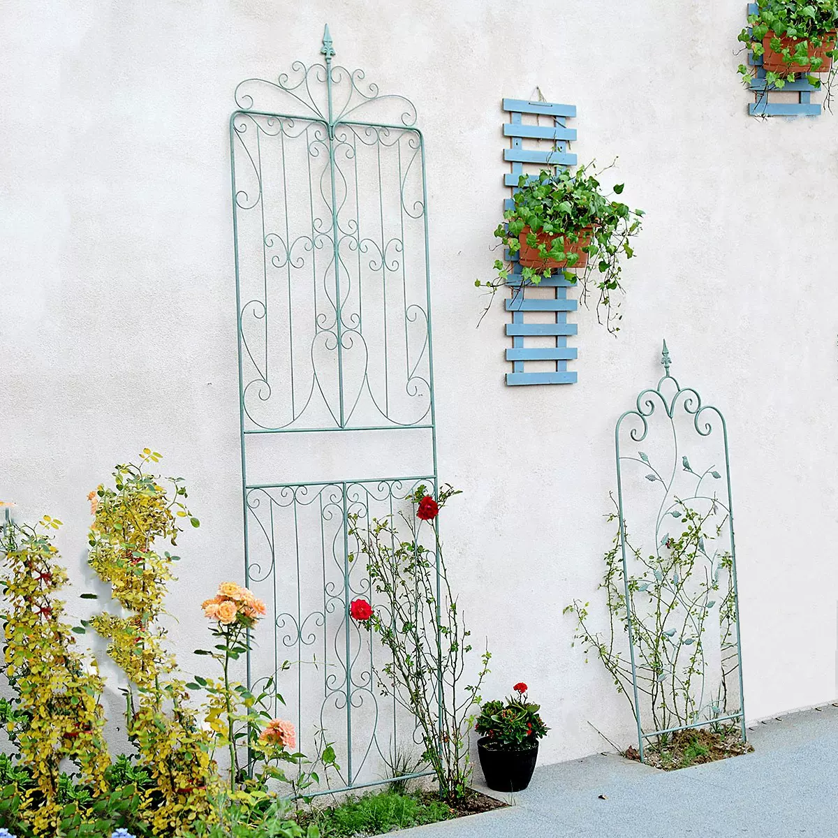 户外铁艺落地式爬藤架庭院装饰室外花卉植物攀爬架阳台花园花架