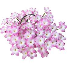 �L���m ���m ��ɏ �²�ɏ �²��m ������ �ذ� �ΰ� �̨С�^ͥԺ