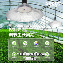 ȫVLEDֲ̫a߲˲ݮﻨֲ҃L