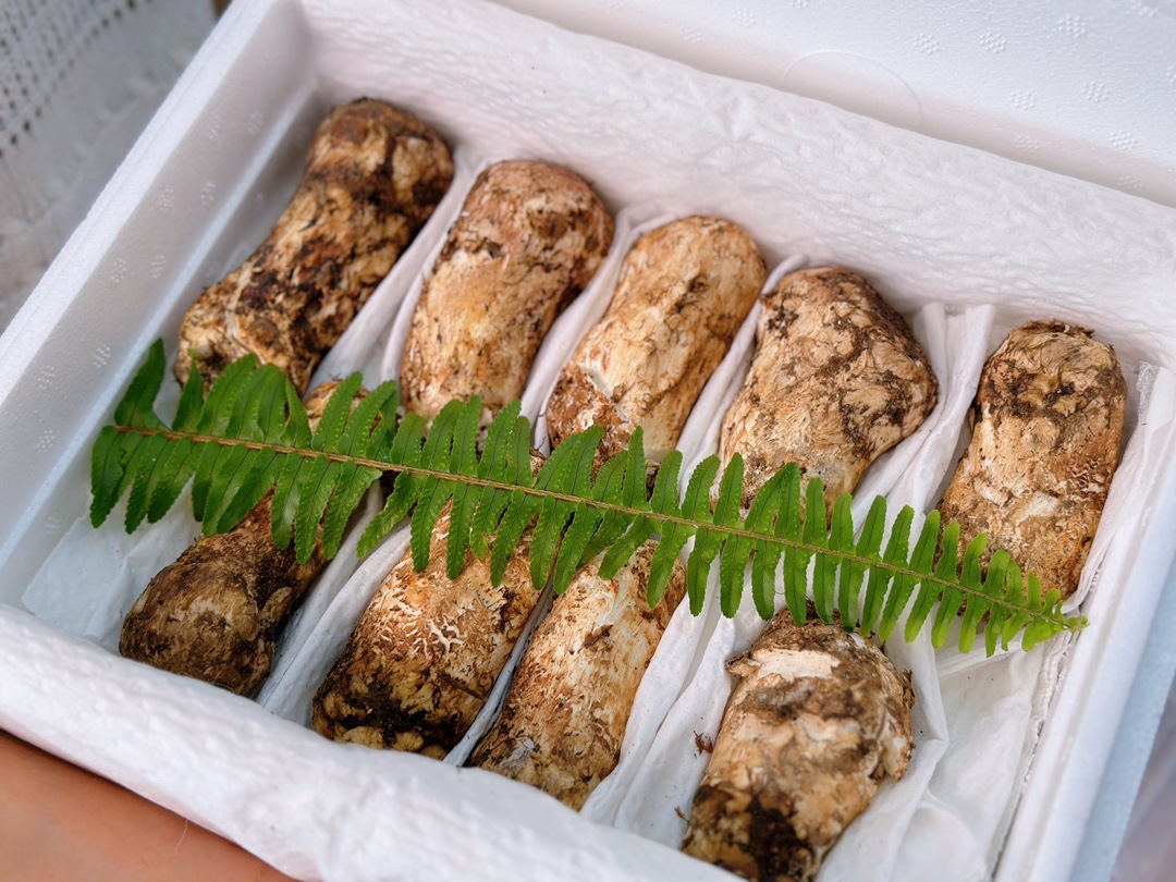 [수출등급] 7-9cm 생송이버섯 500g