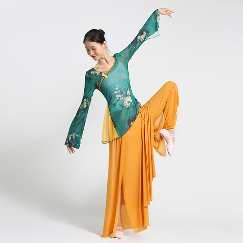 Honghua classical dance clothing body charm practice clothing gauze clothing art test trumpet sleeves plum blossom elegant ethnic dancer top