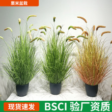 ����Gֲ��β�Ͳ������JȔ����������b��辰�҃ȿ͏dֲ���쾰�[