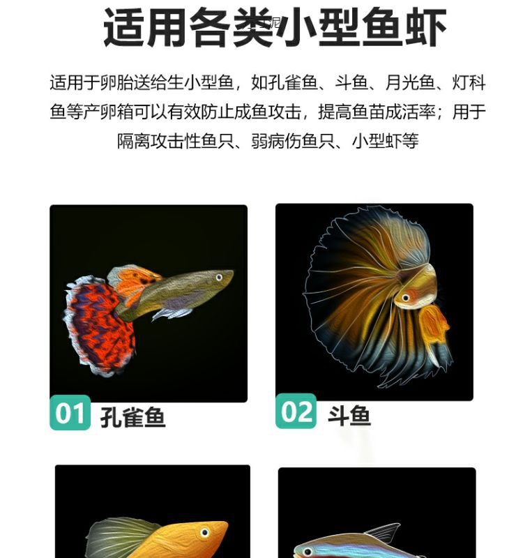 a07a2684-e36b-420c-b492-bf4572b98b0a.jpe