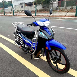 电动摩托车;两轮摩托车;沙滩车