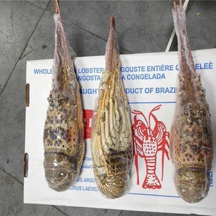 �������r�F؛�M�����rҎ���Rȫ�Ƶ�͏dʳ�ĺ��r���l����Ű����r