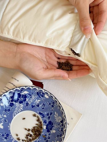 Cassia seed sleep pillow woody household thin pillow women's neck pillow single cervical vertebra support sleep pillow core wholesale