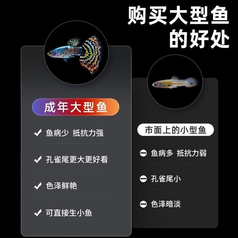 a9715cd8-d71d-410c-b04b-72f4bc04ee8c.jpe