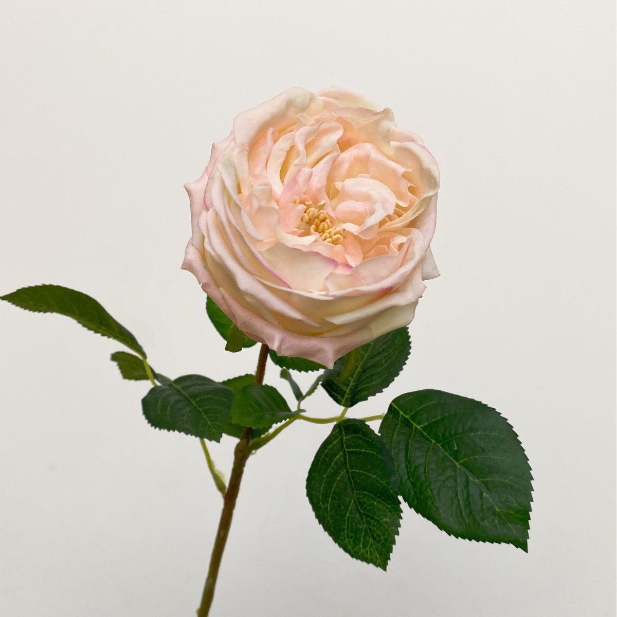 Rosas Austin simuladas, flores artificiales de alta calidad con tacto realista y efecto hidratante, ideales para arreglos de boda y decoración del hogar.
