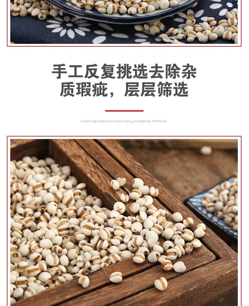 Coix Seed (Coix lacryma-jobi) — Roasted Puffed Yi Mi Ren, 500g Loose Food Herb in use
