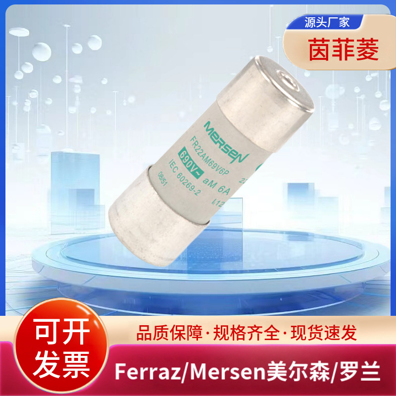 全新原装FR22AM69V2P FR22AM69V4P FR22AM69V6P美尔森/罗兰熔断器