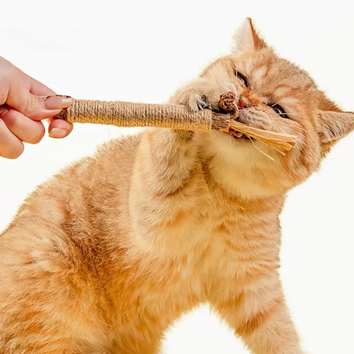 Hemp rope wood polygonum catnip ball amusing cat stick self-stimulating and relieving boredom resistant to chewing teeth kitten kitten cat toys supplies