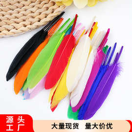 新品现货彩色小直刀羽毛鹅毛早教启蒙DIY耳环帽子猫玩具装饰配件